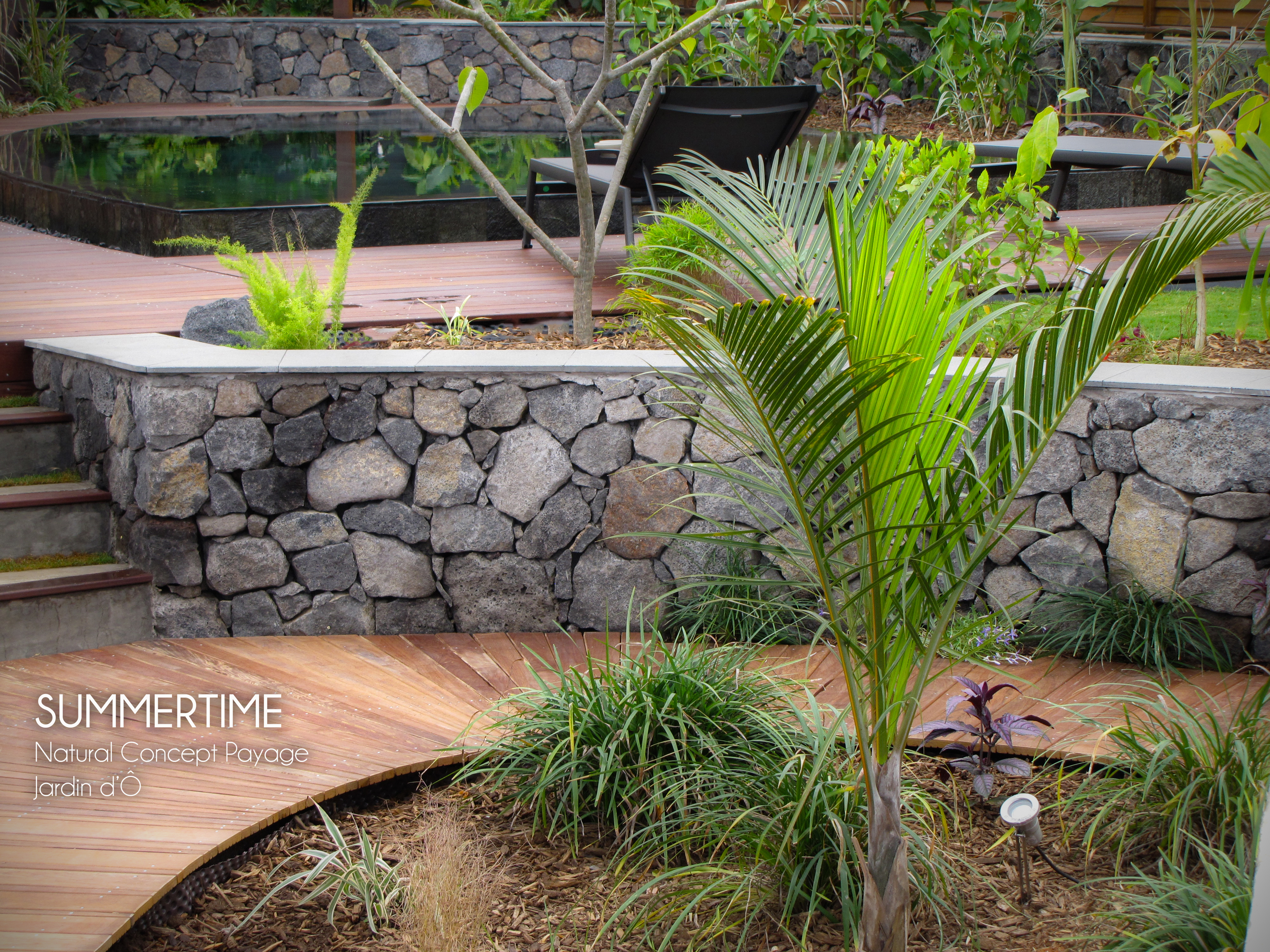 amenagement jardin a la reunion