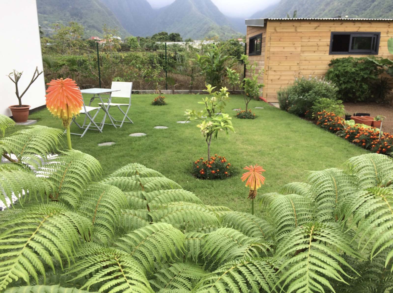 amenagement jardin a la reunion