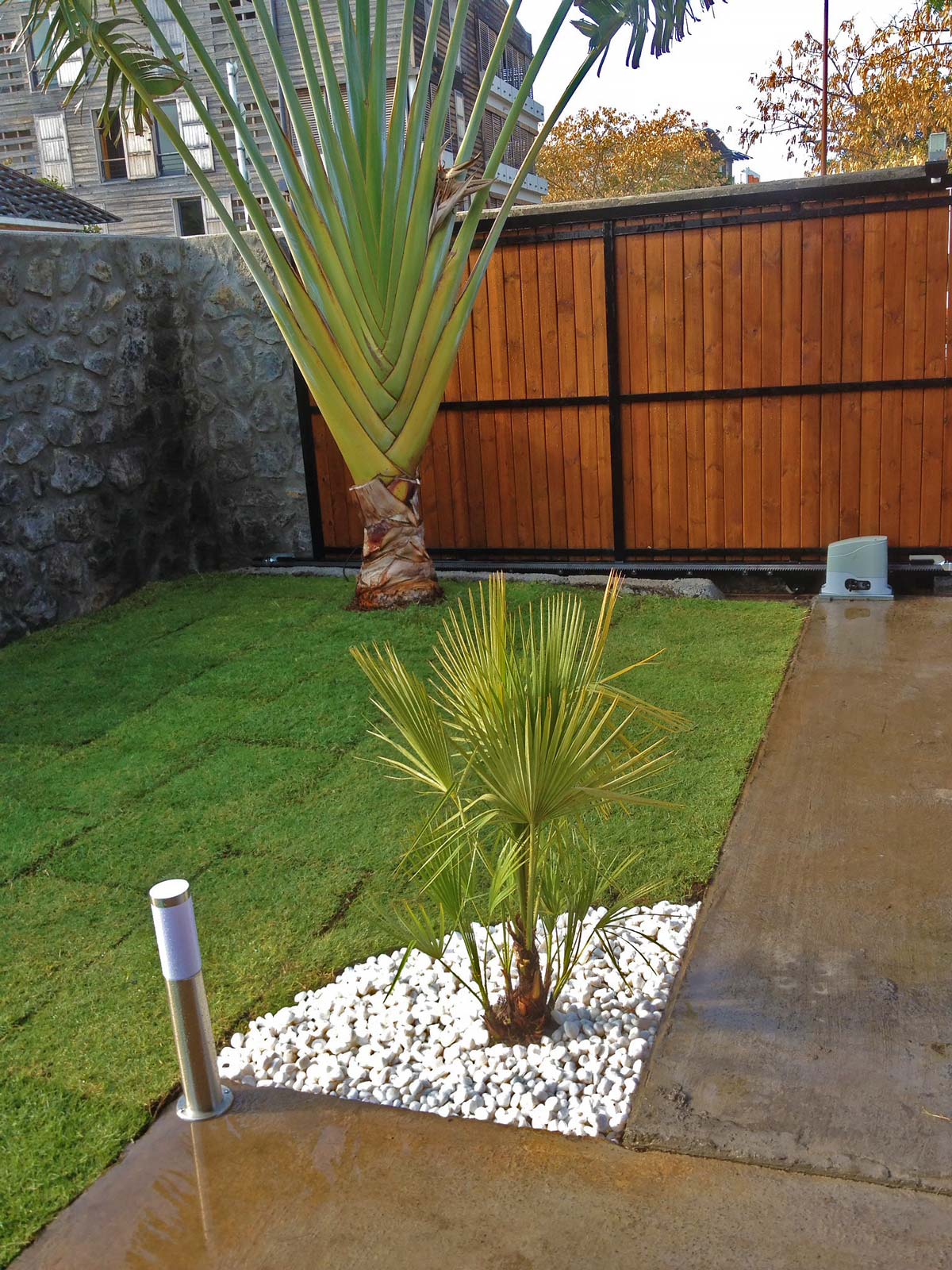 amenagement jardin a la reunion