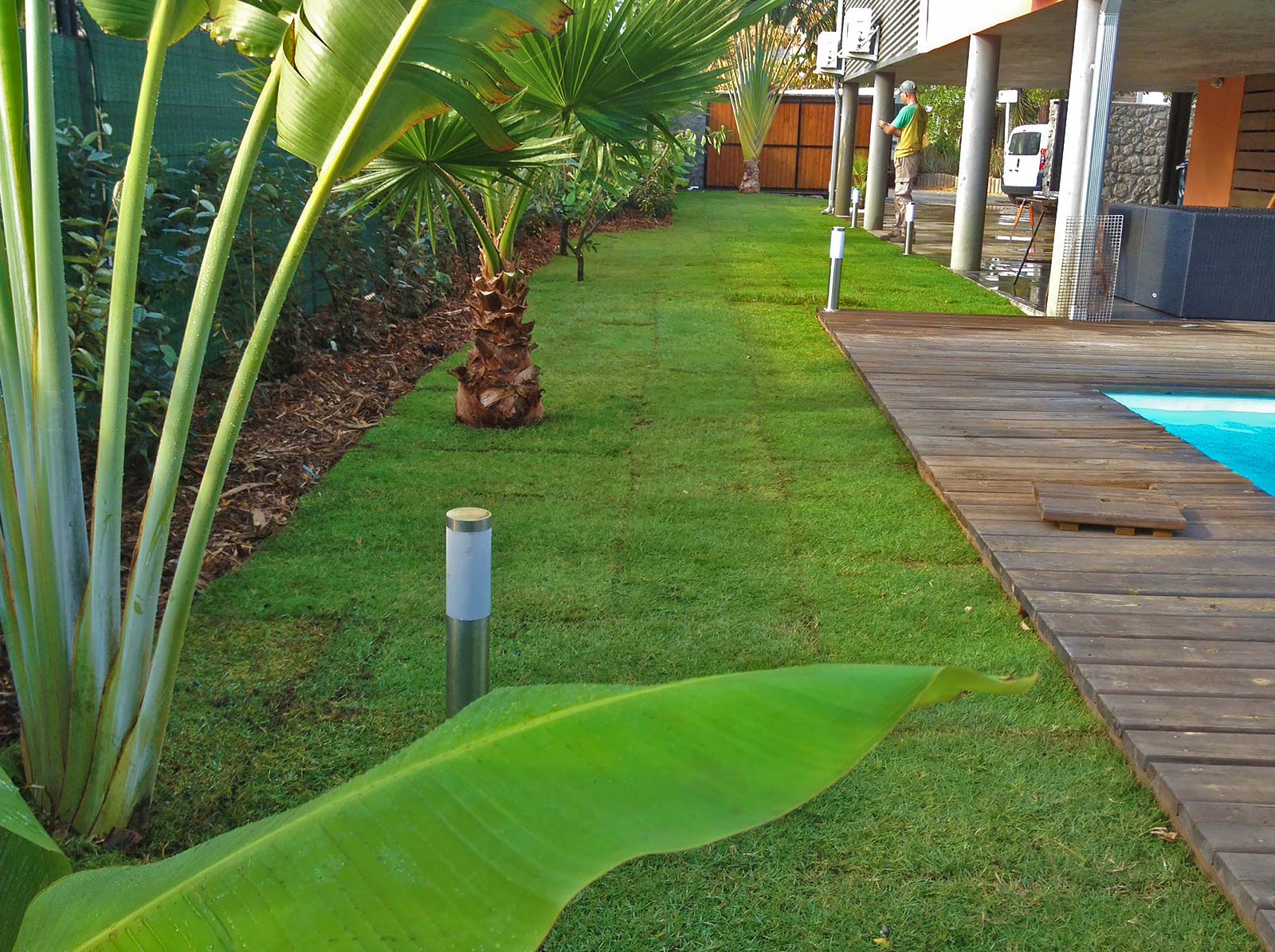 amenagement jardin a la reunion