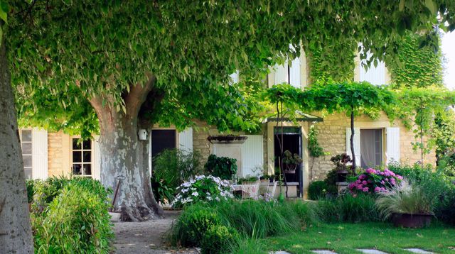 amenagement jardin bucolique