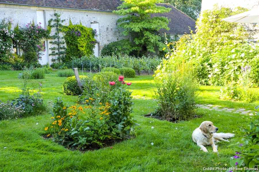 amenagement jardin bucolique