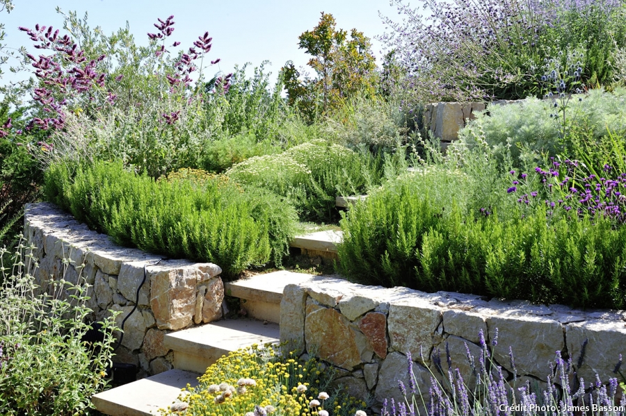 amenagement jardin restanque