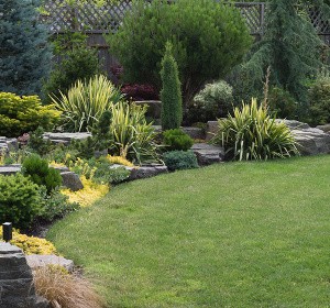 amenagement jardin terrain plat