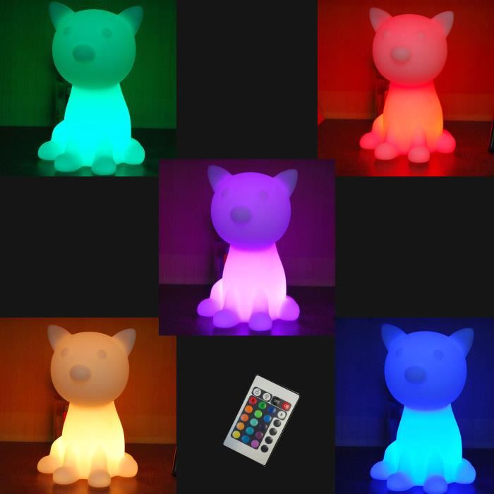 decoration exterieur chat
