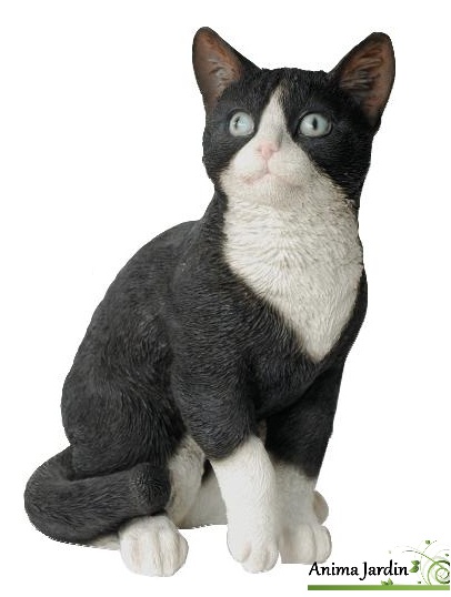 decoration exterieur chat