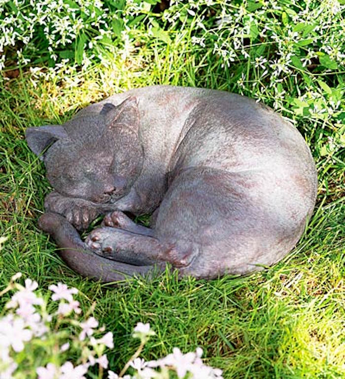 decoration exterieur chat