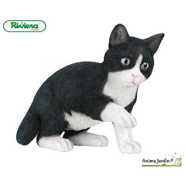 decoration exterieur chat
