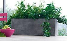 decoration exterieur de jardin jardinieres et pots