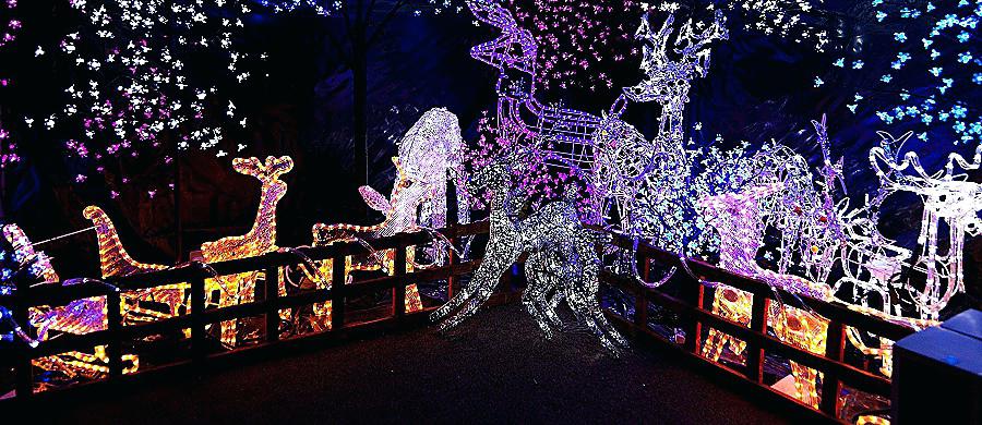 decoration exterieur noel a vendre