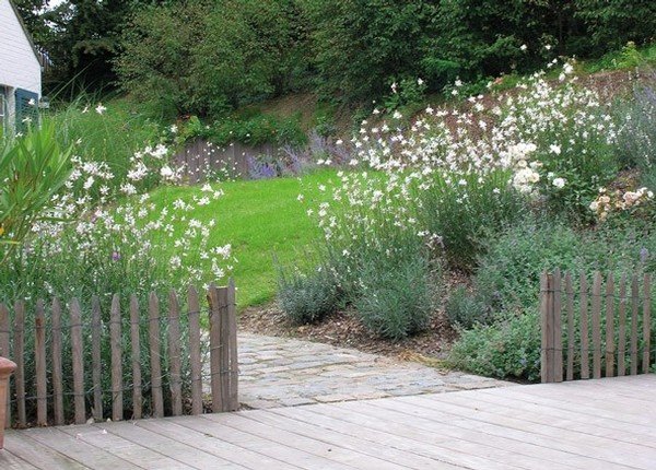 decoration jardin belgique