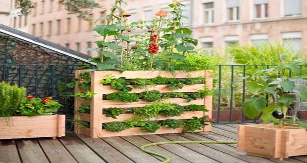 decoration jardin en palette