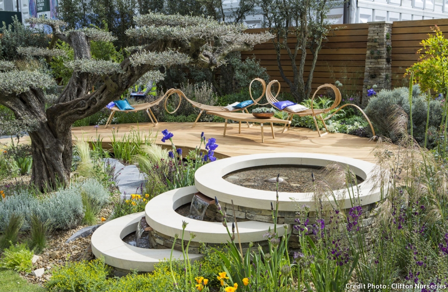 decoration jardin olivier
