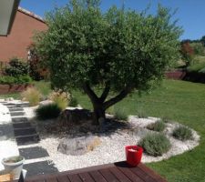 decoration jardin olivier
