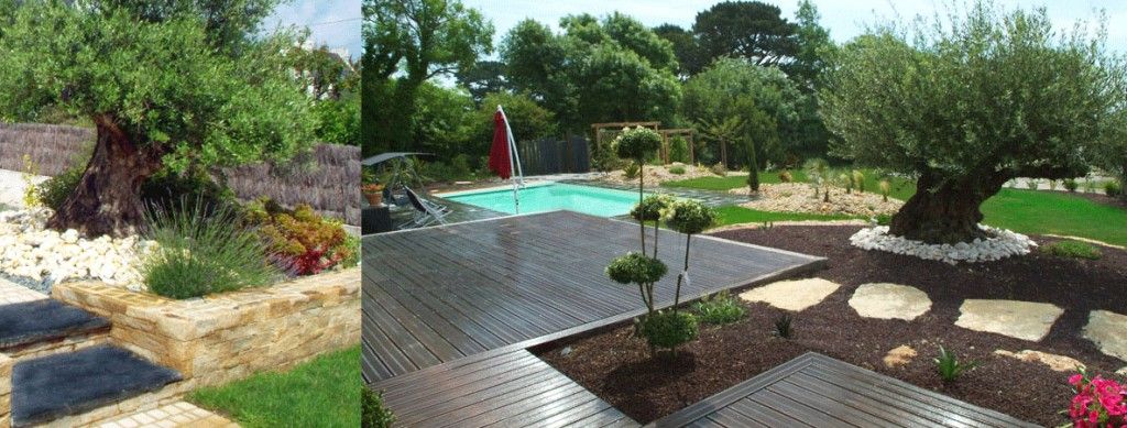 decoration jardin olivier