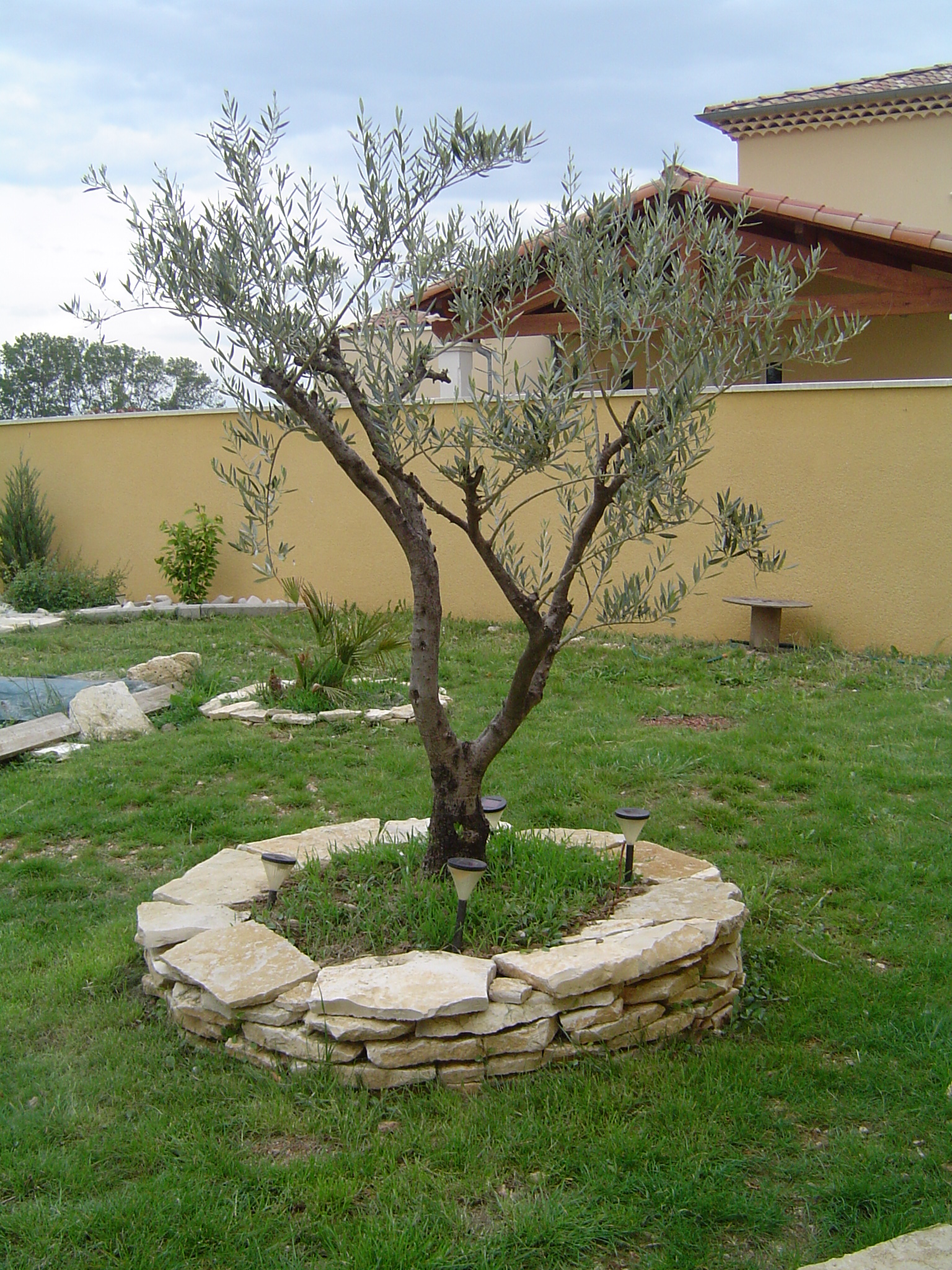decoration jardin olivier