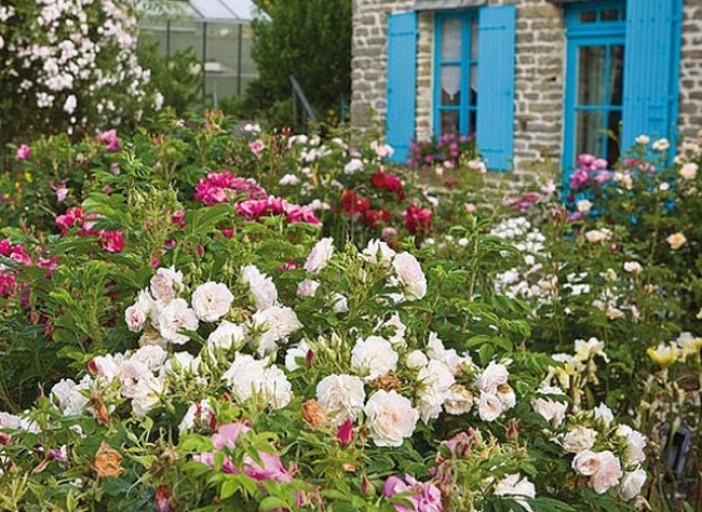 decoration jardin rosier
