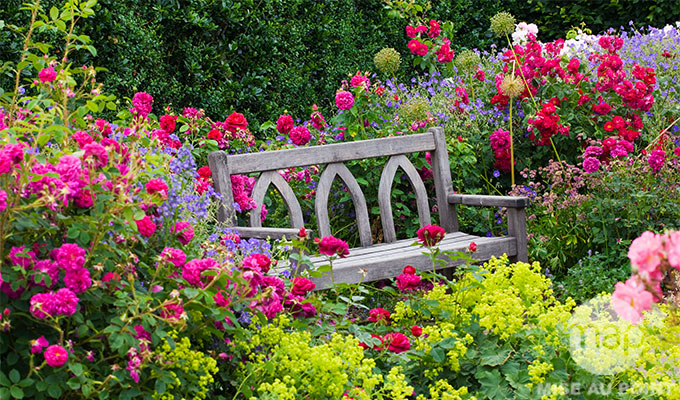 decoration jardin rosier