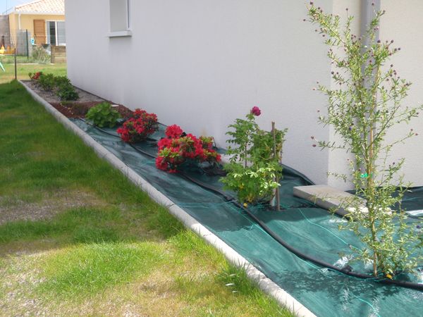 decoration jardin rosier