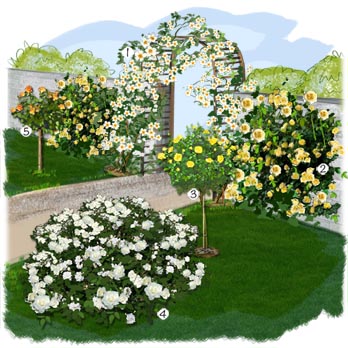 decoration jardin rosier