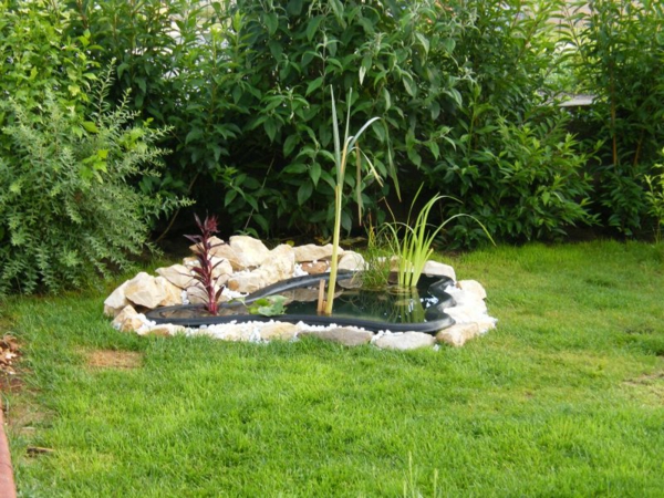 idee jardin avec petit bassin
