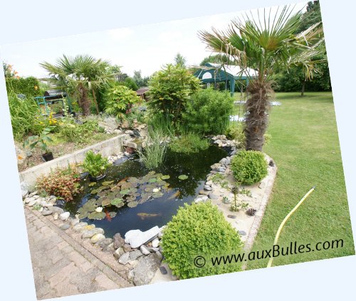 idee jardin avec petit bassin