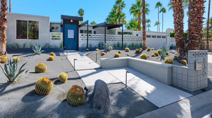 idee jardin cactus