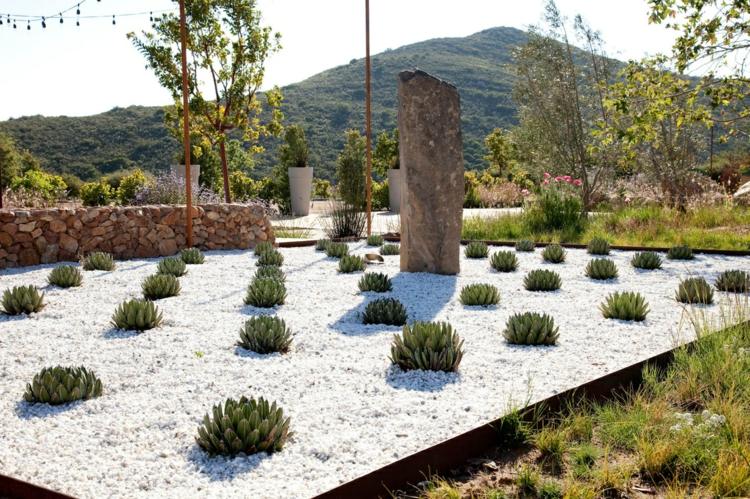 idee jardin cactus