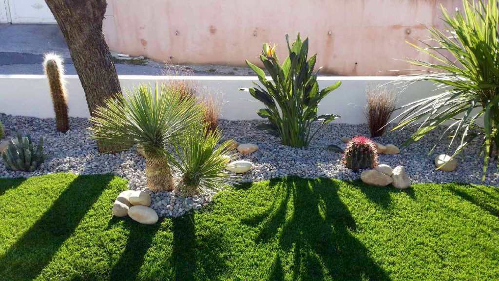 idee jardin cactus