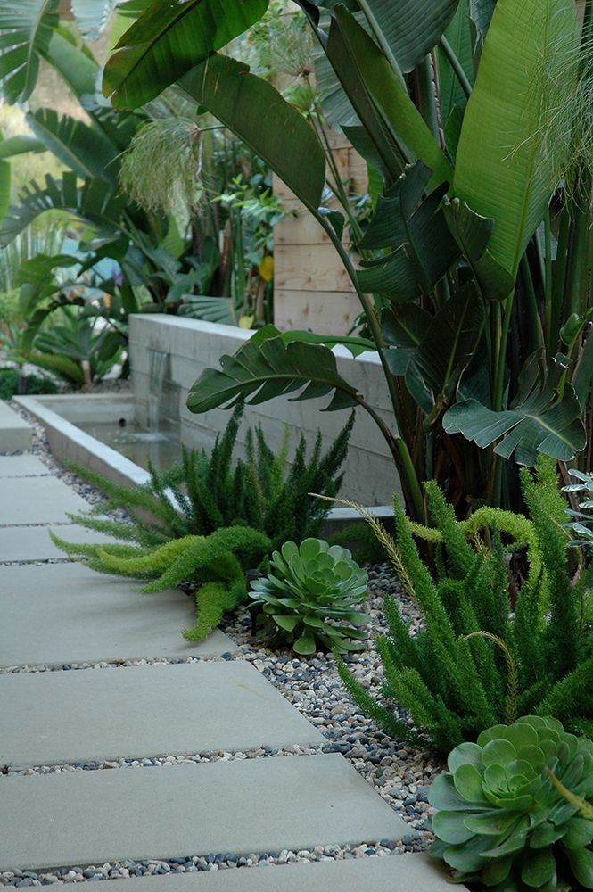 idee jardin cactus