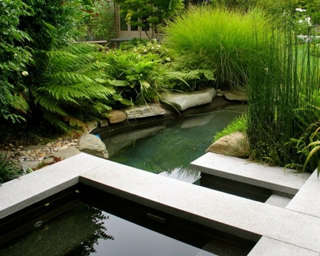 idee jardin eau
