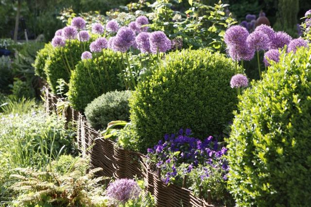 idee jardin ecologique