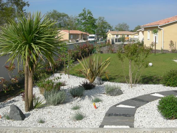 idee jardin palmier