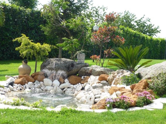 idee jardin palmier