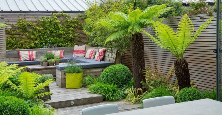 idee jardin palmier