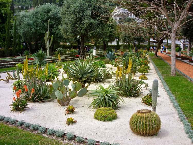 idee jardin plantes grasses