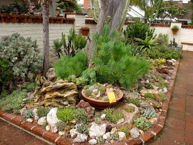 idee jardin plantes grasses