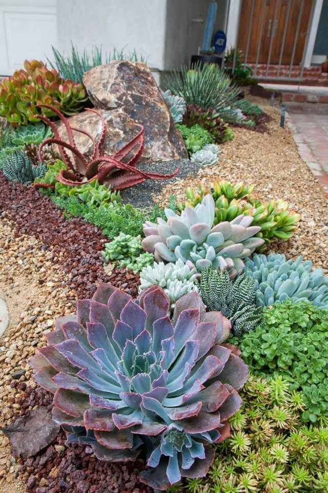 idee jardin plantes grasses