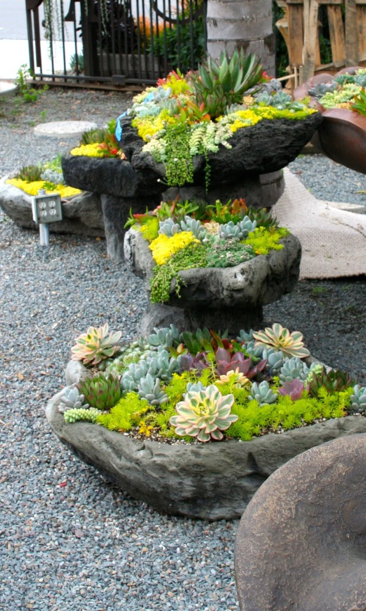 idee jardin plantes grasses