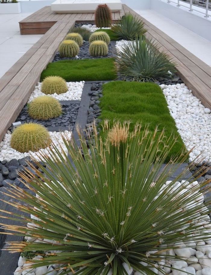 idee jardin plantes grasses