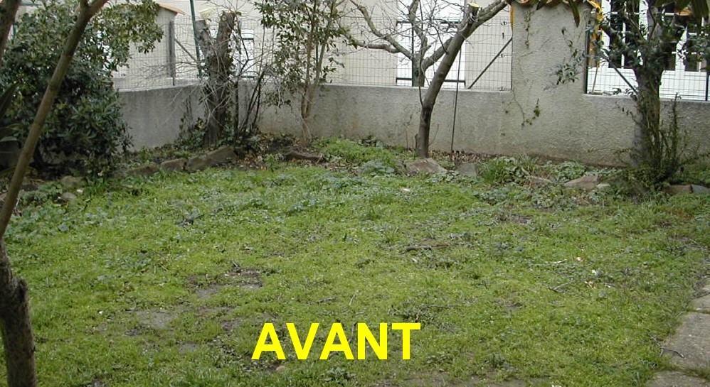idee jardin sud