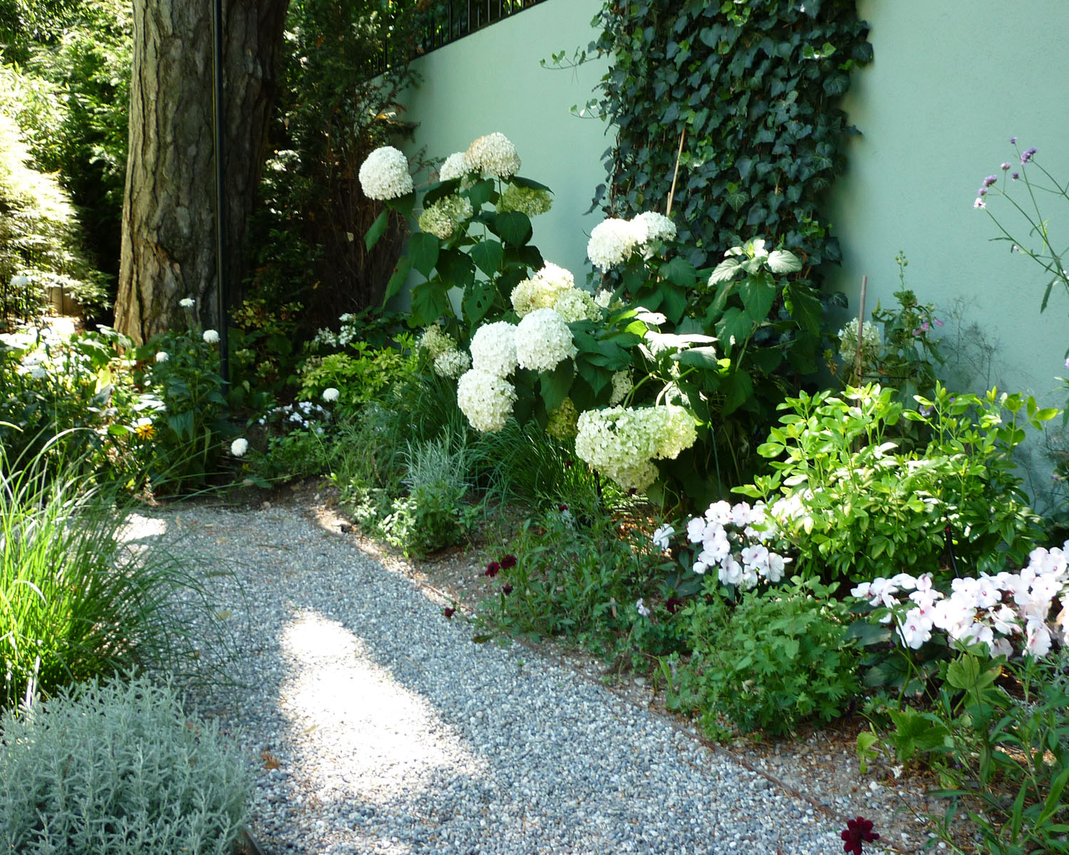 idee jardin sud